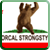 Norcal Strong Style